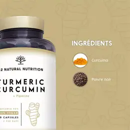 N2 Natural Nutrition Turméric Curcumin 90 capsules