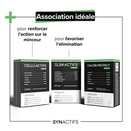 Aragan - Synactifs - CaloriProtect® - Minceur - Gymnema - 60 gélules