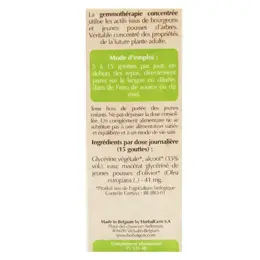 Herbalgem Macérat Concentré Olivier Bio 30ml