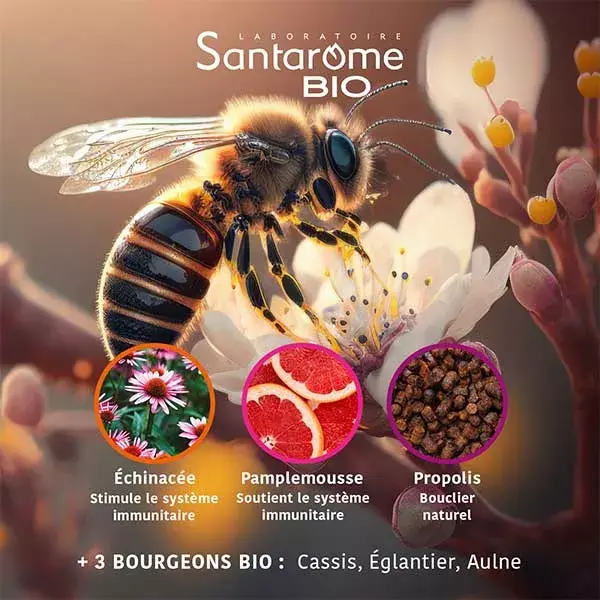 Santarome Bio - Programme Ultra Immunité Bio - 30 ampoules