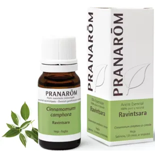 Ravintsara sheet Pranarôm essential oil ml.
