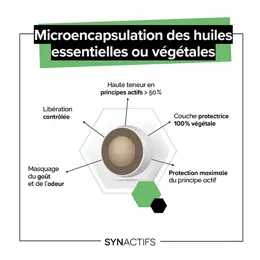 Aragan - Synactifs - CaloriProtect® - Minceur - Gymnema - 60 gélules