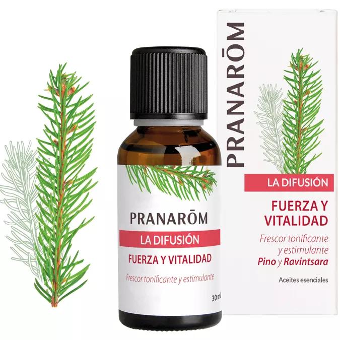  Pranarom Jazz Pranarom - Difusor de arcilla metálica (1 unidad,  7.05 oz)