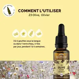 Biofloral Fleur De Bach 23 Olive Olivier Compte Gouttes Bio Demeter 20 ml