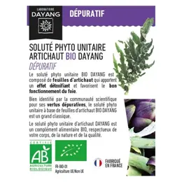 Dayang Artichaut Bio 20 ampoules