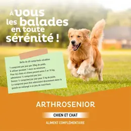 Clement Thekan Arthrosenior Chien  Mobilité Articulaire 60 Comprimés