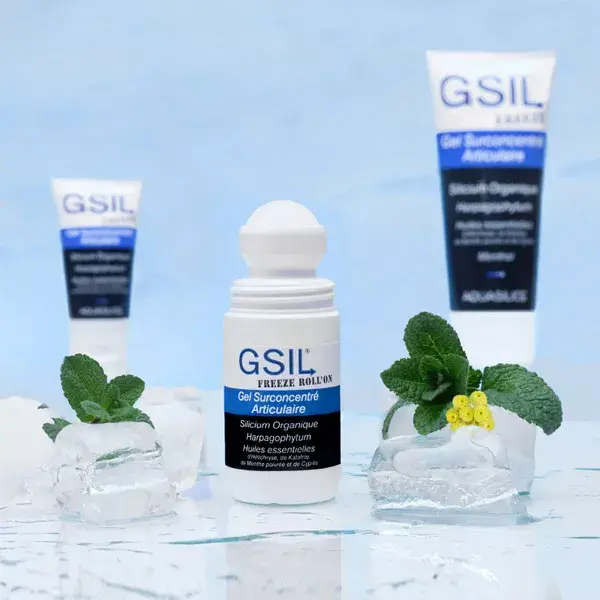 Aquasilice GSIL Freeze Roll'On Gel Surconcentré Articulaire 40ml