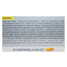 Isoxan Sport Endurance 20 comprimés