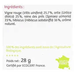 Vitavea - BioNutrisanté - Infusion froide Jambes légères - 20 sachets