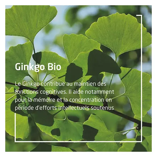 Weleda Organic Gingko Plant Extract 60ml 