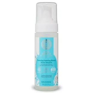 Cleansing Mousse Combination or Oily Skin Natura Siberica 170ml