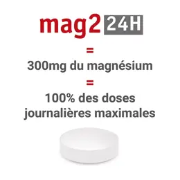 MAG 2 24H Magnésium Vitamine B6 Fatigue Nervosité 120 comprimés