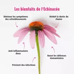 A.Vogel Echinaforce Immunité Hot Drink Sureau et Echinacea 100ml