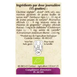 Herbalgem  Complexe de Gemmothérapie Transigem GC20 Bio 30ml