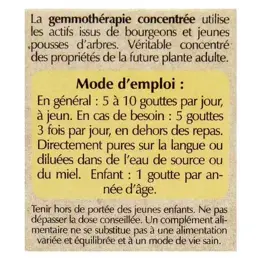 Herbalgem Complexe de Gemmothérapie Allargem Protection Bio 30ml