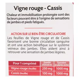 Juvamine Jambes Légères Vigne Rouge Cassis 30 comprimés