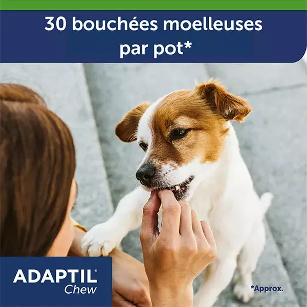 ADAPTIL Chew Anti-Stress Chews for Dogs Fast action from 30 minutes