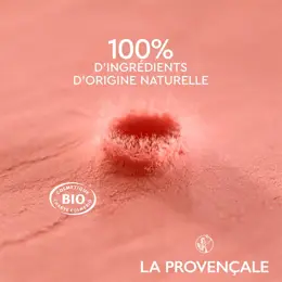 La Provençale Le Teint Le Fard à Joues Lumière d'Ocres N°02 Rose Faïence Bio 8g