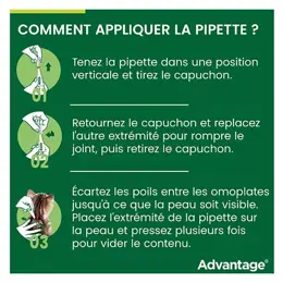 Advantage Solution Antipuce Chat Lapin +4kg 4 pipettes