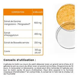 Granions Chondrostéo Flash 40 gélules