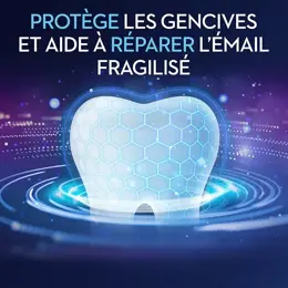 Oral-B Laboratoire Dentifrice Pro Repair Répare Gencives & Email Lot de 2 x 75ml