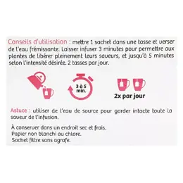 Vitavea - BioNutrisanté - Infusion Brûle graisse - 20 sachets