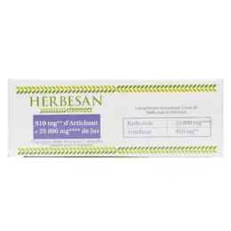 Herbesan Radis Noir Artichaut Bio 20 ampoules 15ml