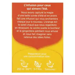 Yogi Tea Gingembre Orange Vanille 17 sachets