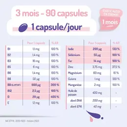 Gynéfam Supra Grossesse Boîte de 3 mois 90 capsules