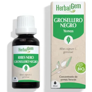 Herbalgem Organic Black Currant 30 ml