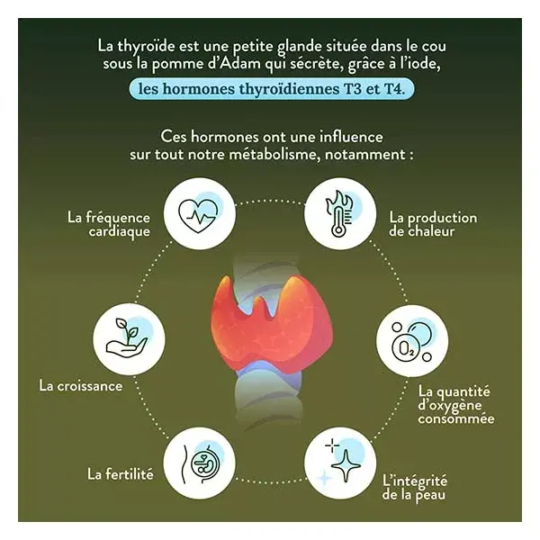 Nutri&Co Iode d'Algue Marine Bio Soutien de la Thyroïde 120 gélules Végan