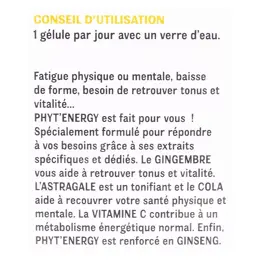 Phytalessence Phyt'Energy 40 gélules