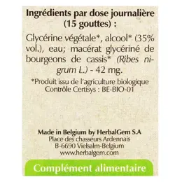 Herbalgem Macérat Concentré Cassis Bio 30ml