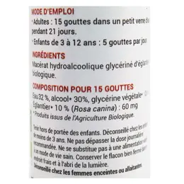 Oemine Macérât Glycériné Églantier Bio 30ml