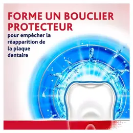 Parodontax Bain de Bouche Quotidien Protection Active Menthe Fraîche 500ml