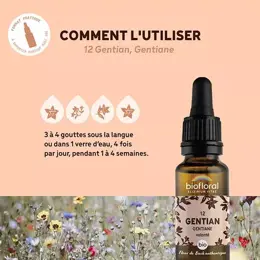 Biofloral Fleur De Bach 12 Gentian Gentiane Compte Gouttes Bio Demeter 20 ml