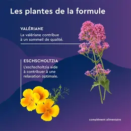 Euphytose Nuit Sommeil Mélatonine 1,9 mg Libération Prolongée 15 comprimés