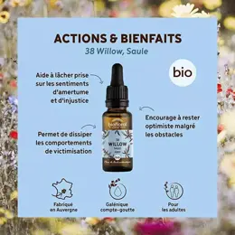 Biofloral Fleur De Bach 38 Willow Saule Compte Gouttes Bio Demeter 20 ml