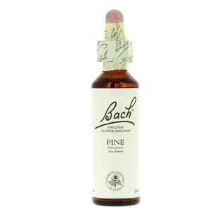 Flores de Bach 24 Pinheiro 20 ml