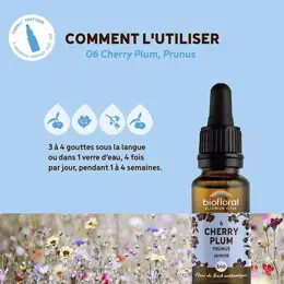 Biofloral Fleur De Bach 06 Cherry Plum Prunus Compte Gouttes Bio Demeter 20 ml