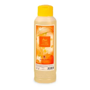Fresh Water of Naranjo Flower Alvarez Gómez 750ml