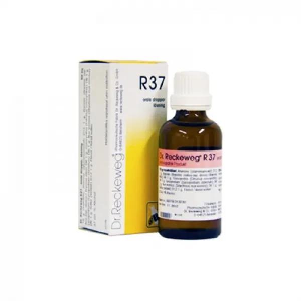 Dr Reckeweg R 37 Rimedio Omeopatico Intestinale Gocce 22 Ml