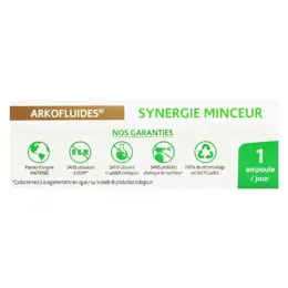 Arkopharma Arkofluides Synergie Minceur Bio 20 ampoules