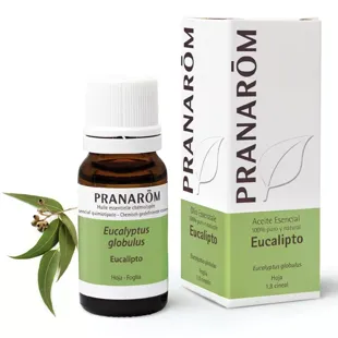 Pranarôm Ätherisches Eukalyptusöl 10ml