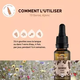 Biofloral Fleur De Bach 13 Gorse Ajonc Compte Gouttes Bio Demeter 20 ml