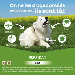 Clement Thekan Perfikan Anti-Puces Anti-Tiques Chien 20-40kg 4 pipettes