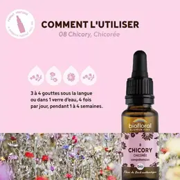 Biofloral Fleur De Bach 08 Chicory Chicoree Compte Gouttes Bio Demeter 20 ml