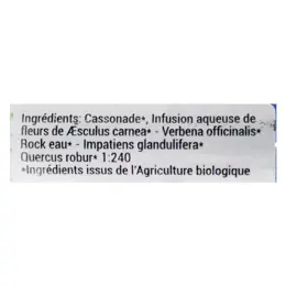 Kosmeo Complexe Fleurs de Bach 0% Alcool Nervosité Bio 120 granules