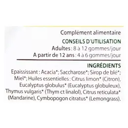 Pranarom Aromagom Gommes Miel / Citron 45g