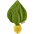 Oli&Carol John Lemon Mini Doudou-Beißring +0m